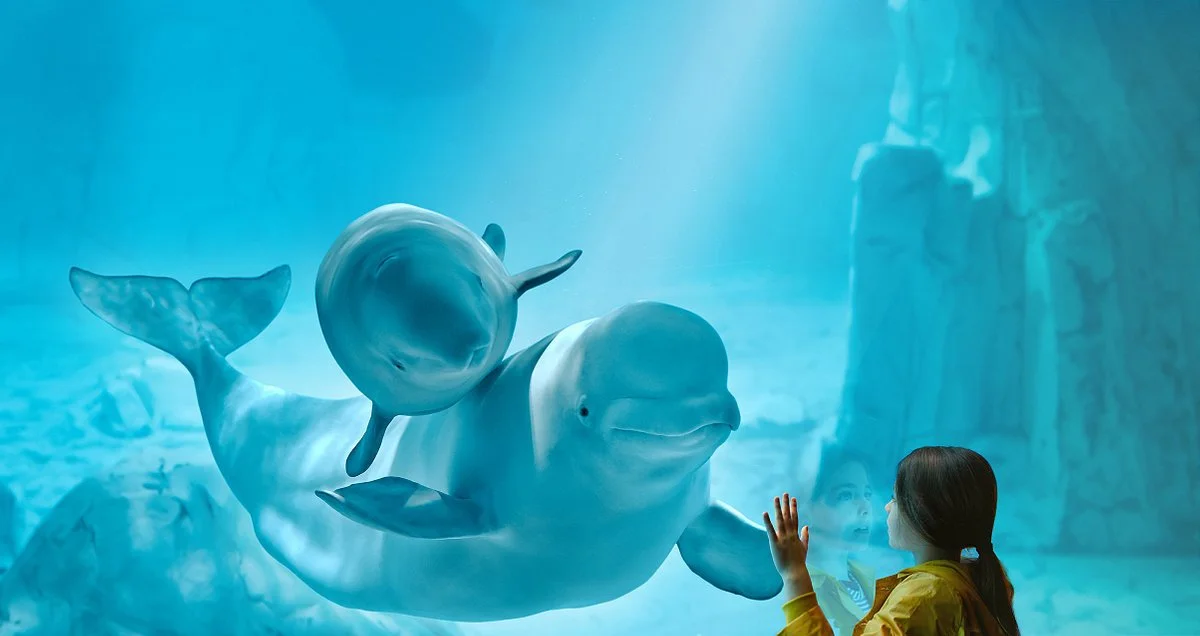 Oceanogràfic València