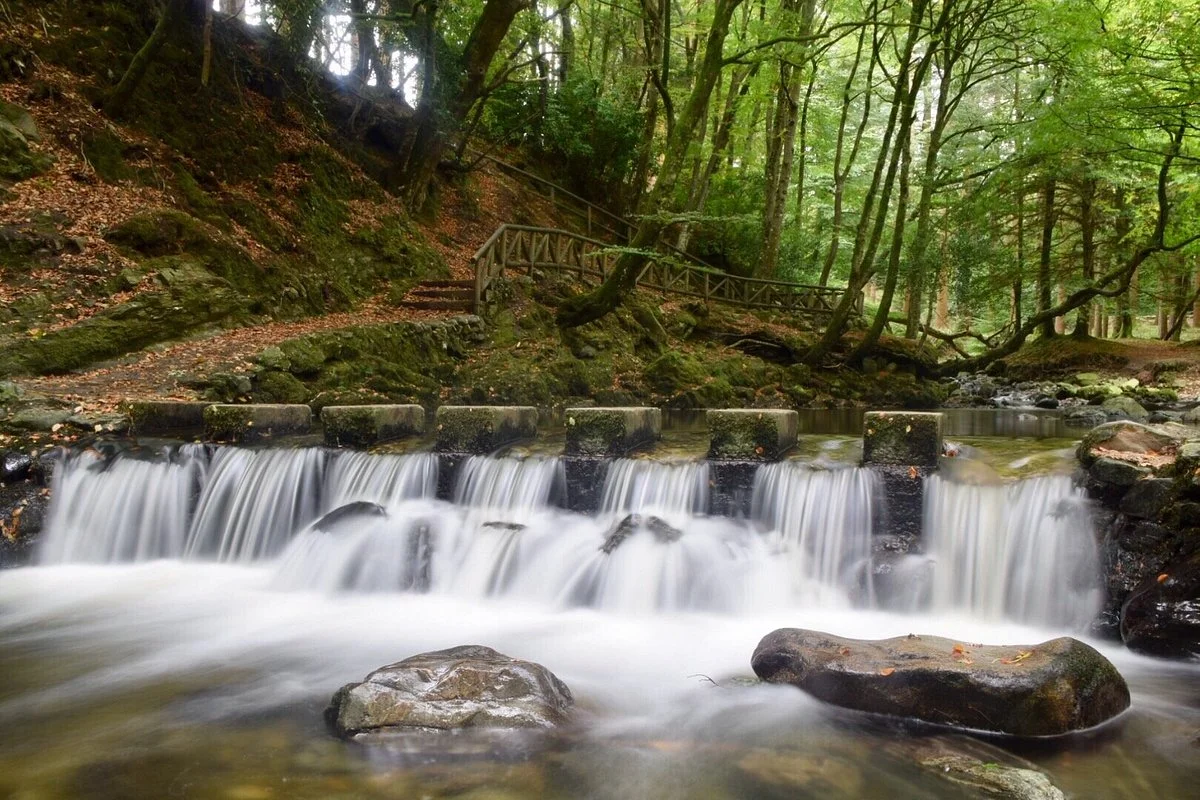 Tollymore Forest Park