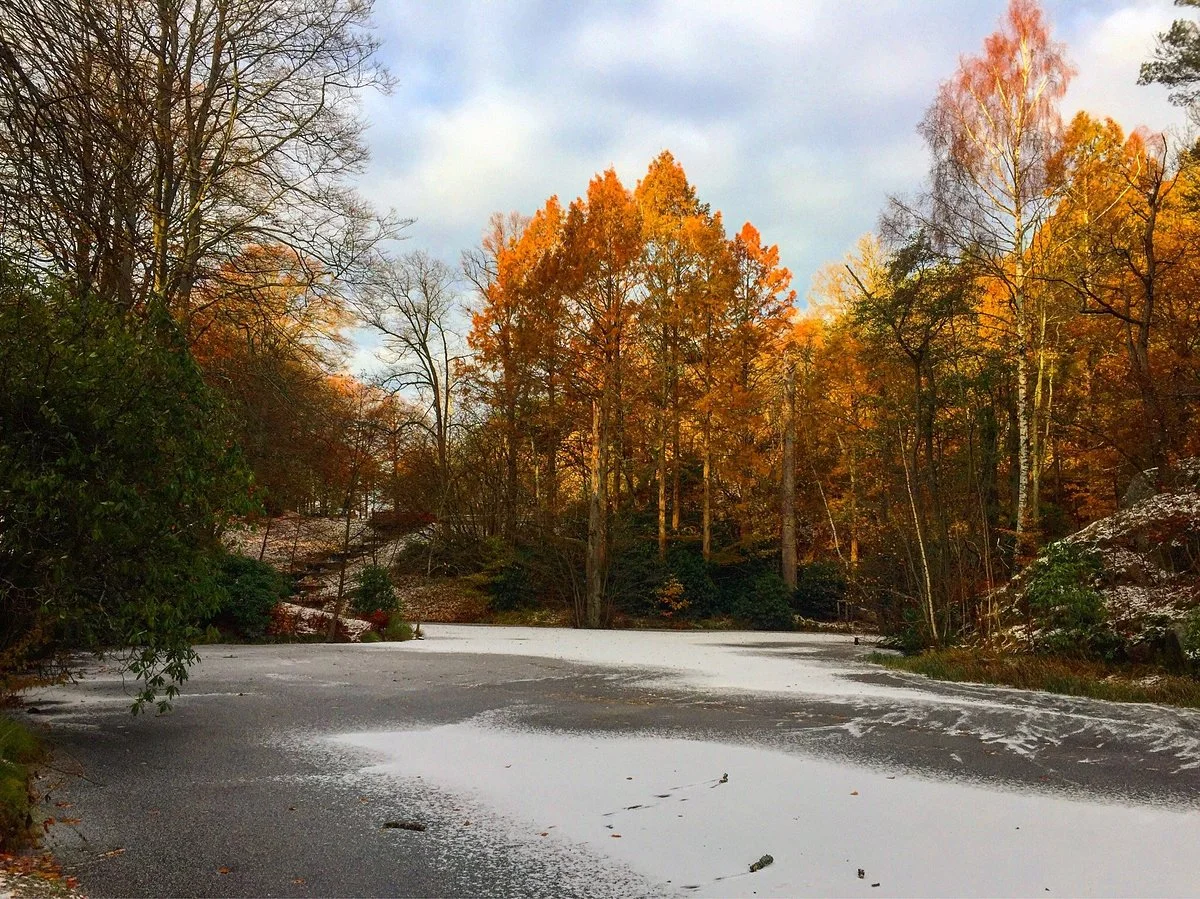 Slottsskogen
