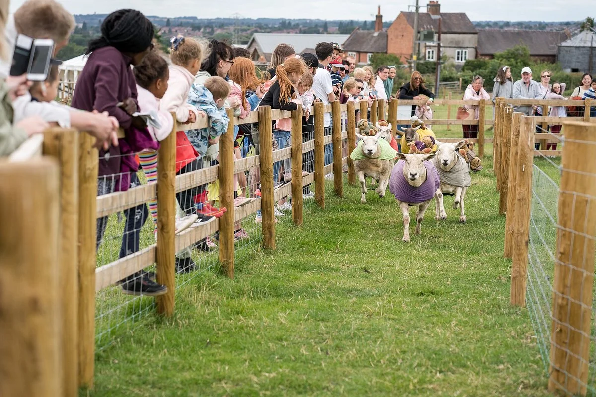Bluebell Dairy Farm