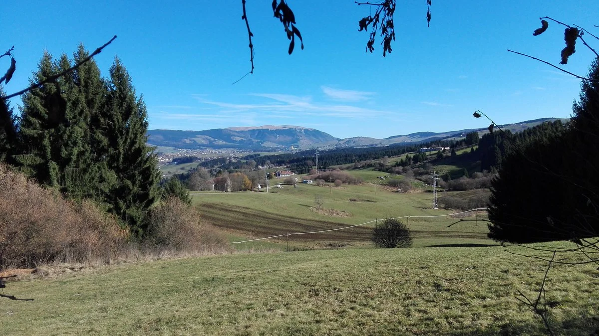 Strada del Vecchio Trenino