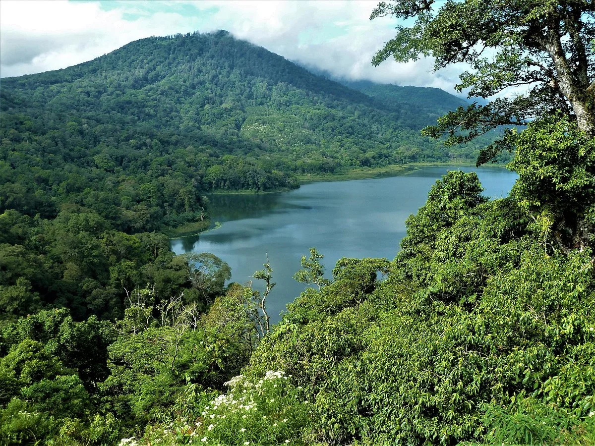 Tamblingan Lake