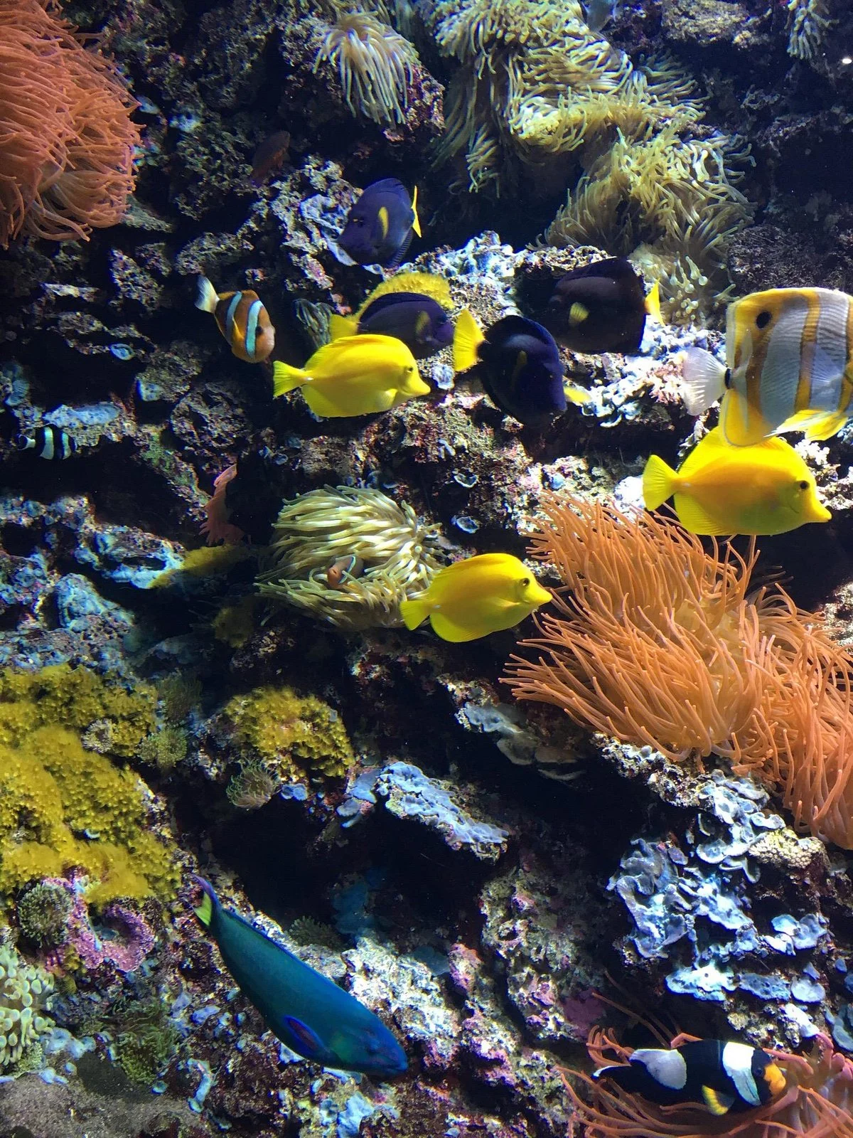 Bioparc Acuario de Gijon