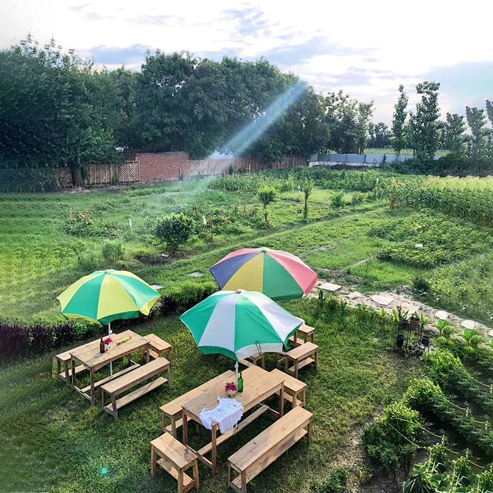 The Prodigal Farms