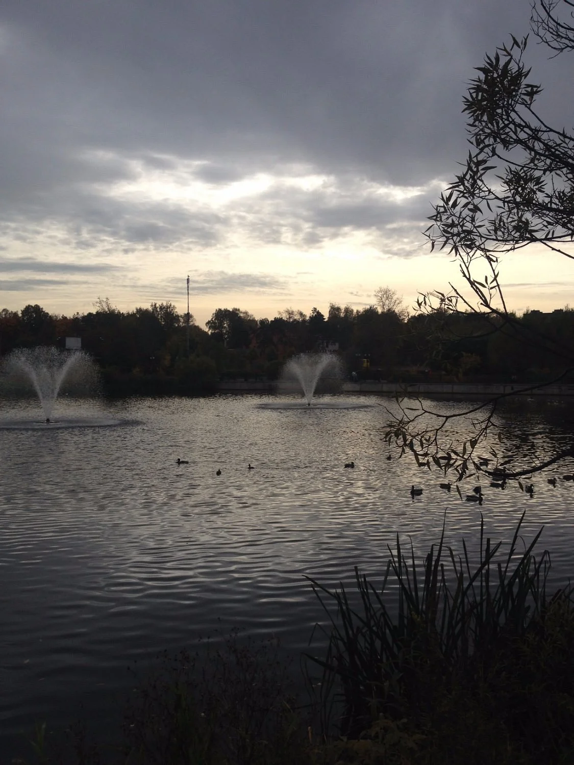 Mytishchi Park of Culture and Leisure