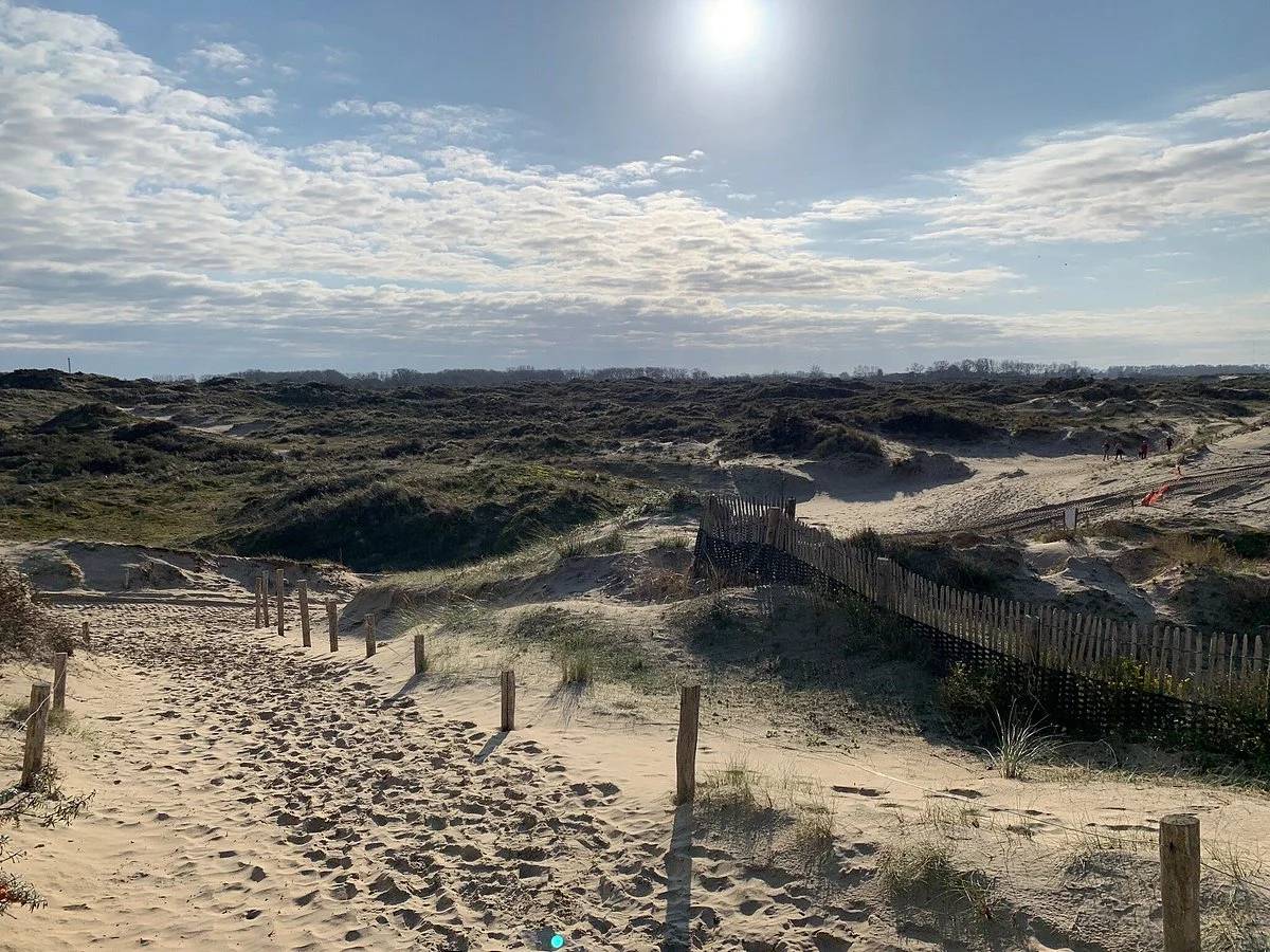 Nature Reserve of Westhoek