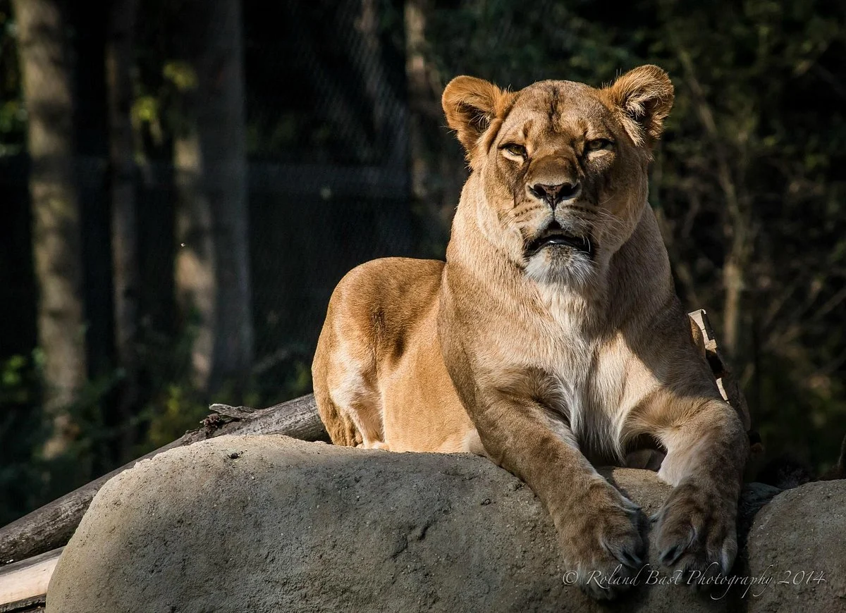 Zagreb Zoo