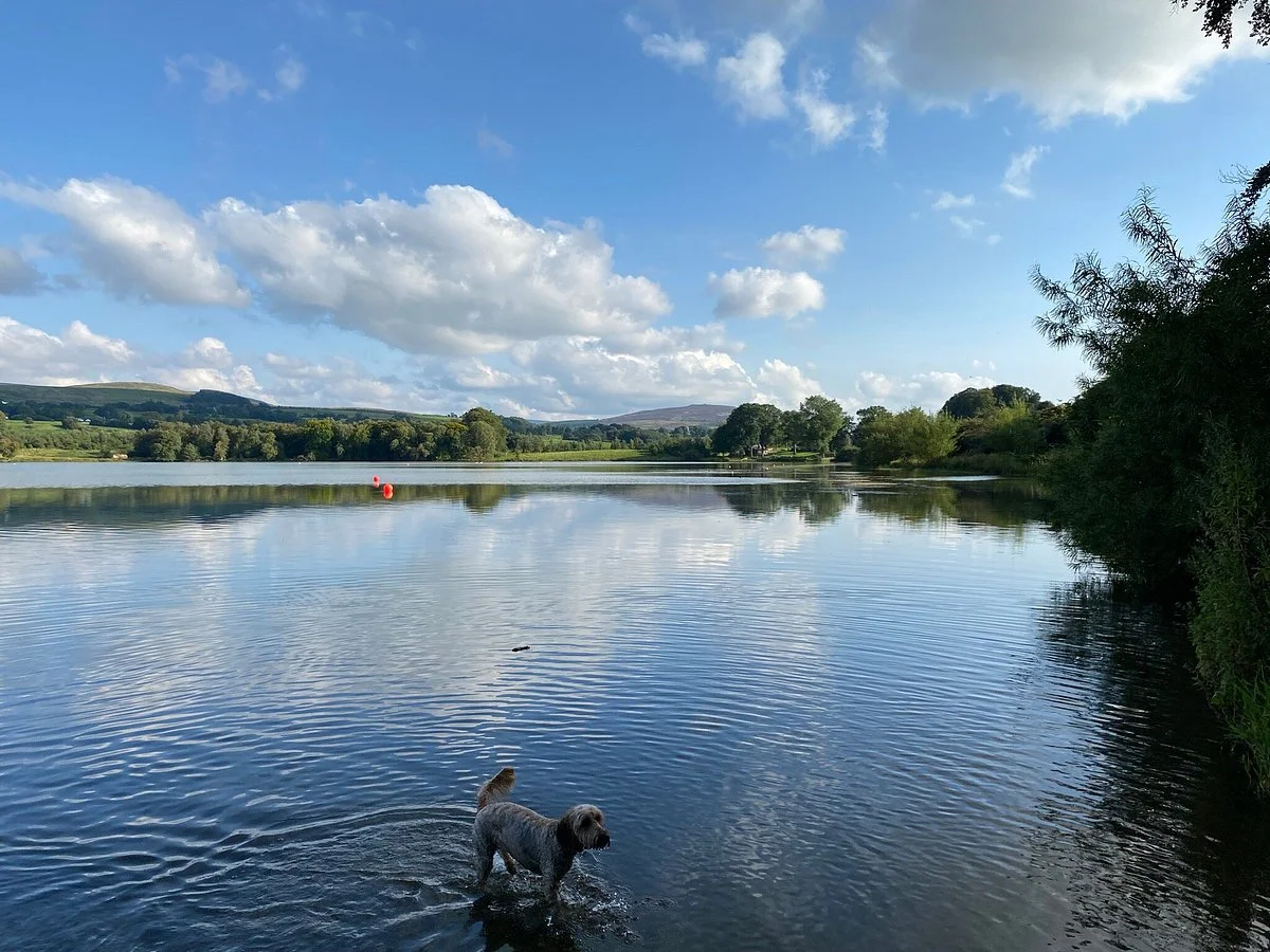 Talkin Tarn Park