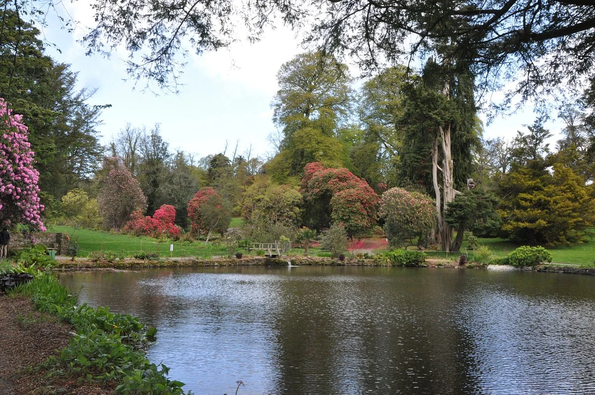 National Botanic Gardens, Kilmacurragh