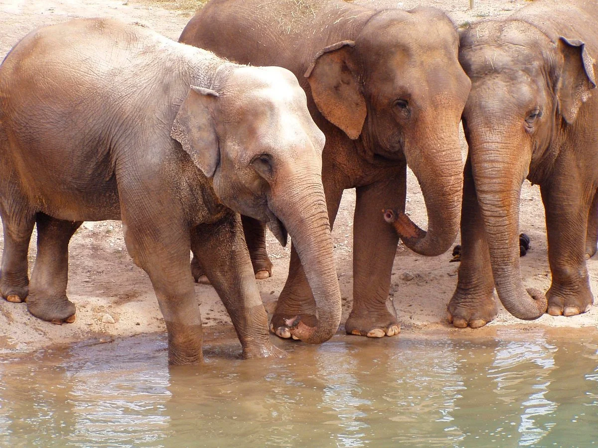 Terra Natura Benidorm