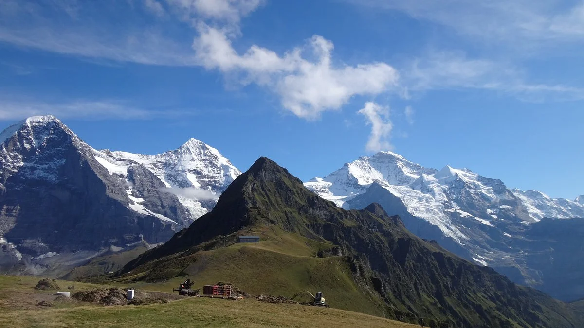 Maennlichen