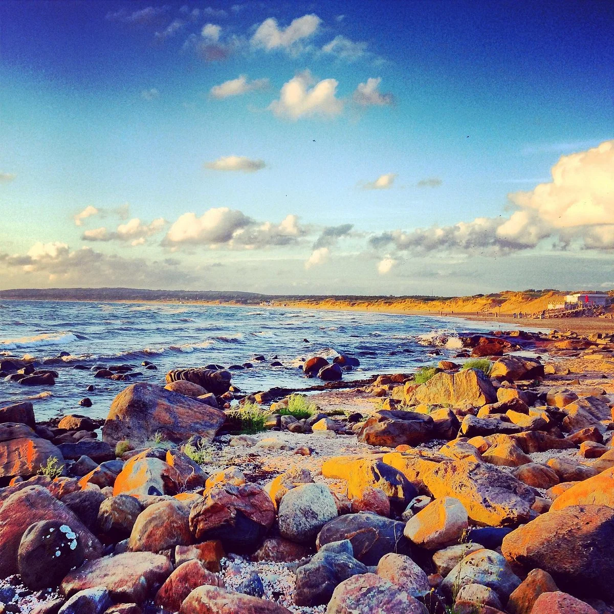 Tylösand Strand