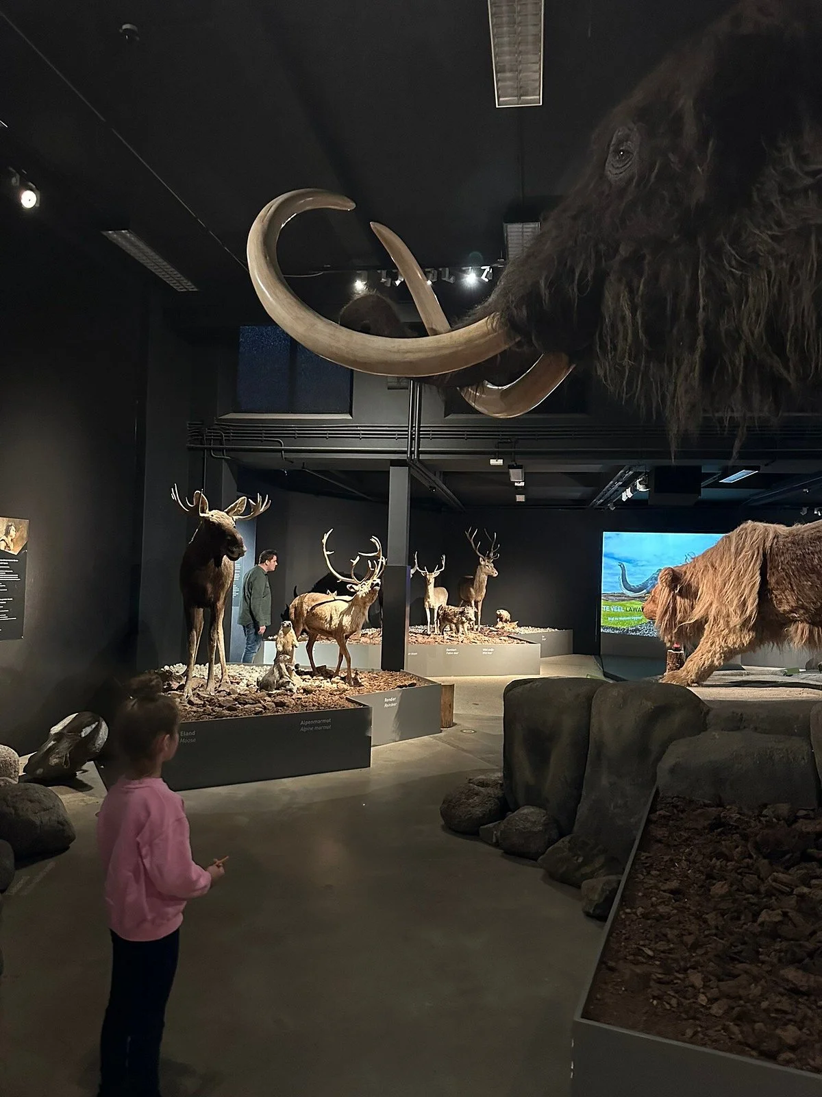 Natuurmuseum Brabant