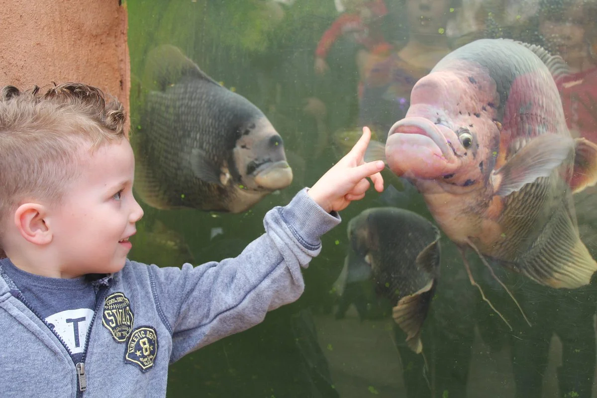 ZOO Almere Jungle
