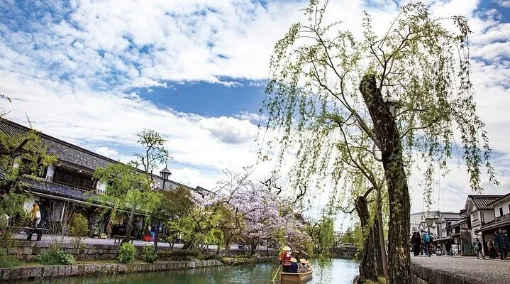 Sunagawa Cherry Blossom Trees