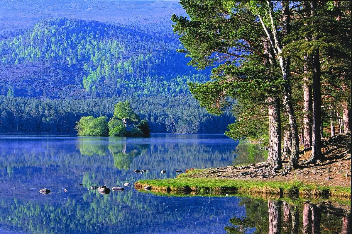 Rothiemurchus