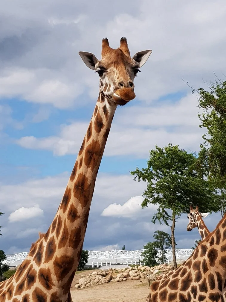 Wildlands Adventure Zoo Emmen