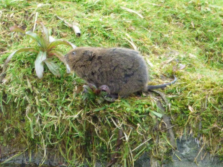 Erewash Nature Reserve
