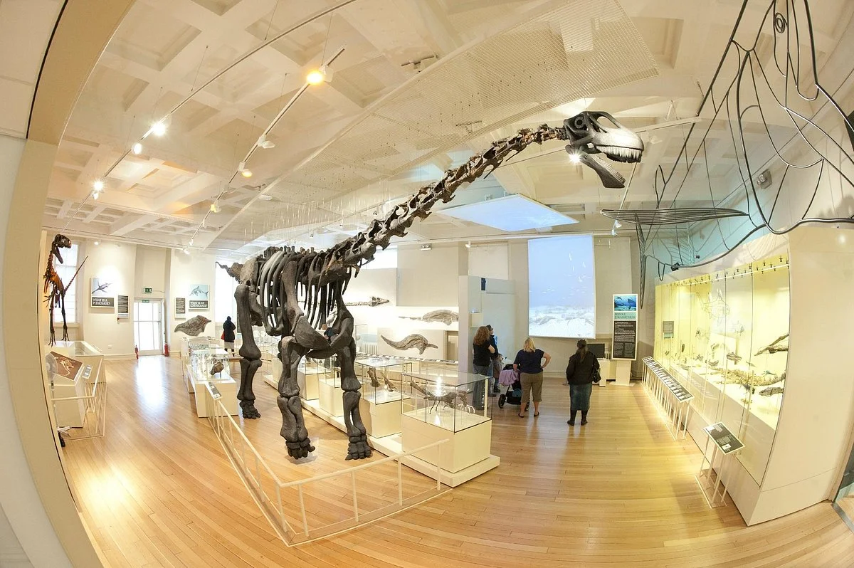 Leicester Museum & Art Gallery