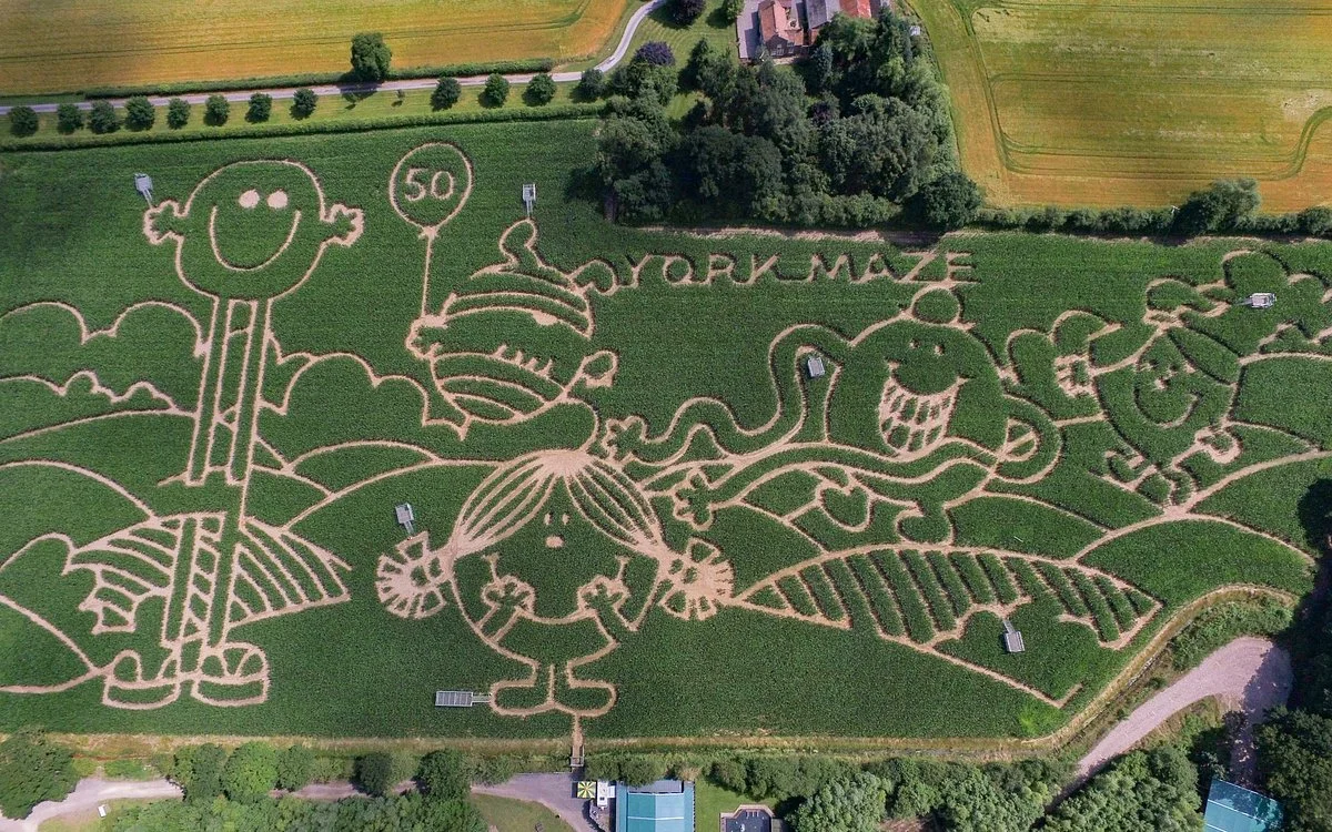 York Maze