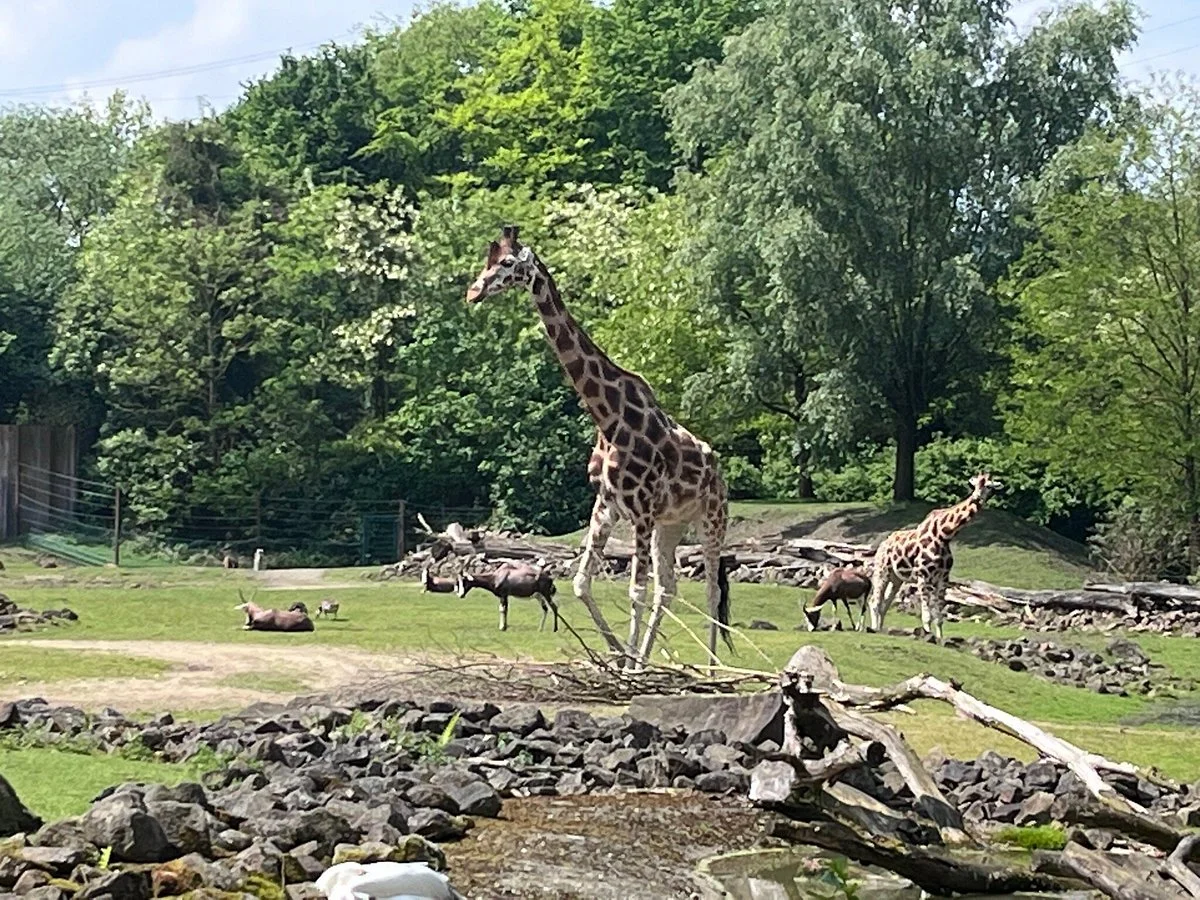 Zoom Erlebniswelt