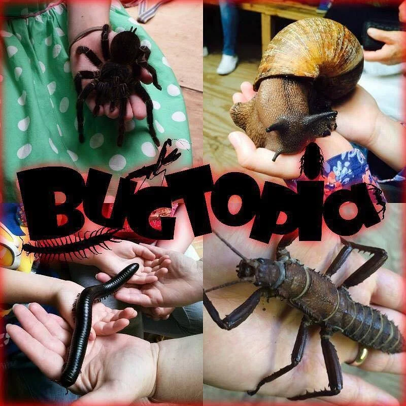 Bugtopia