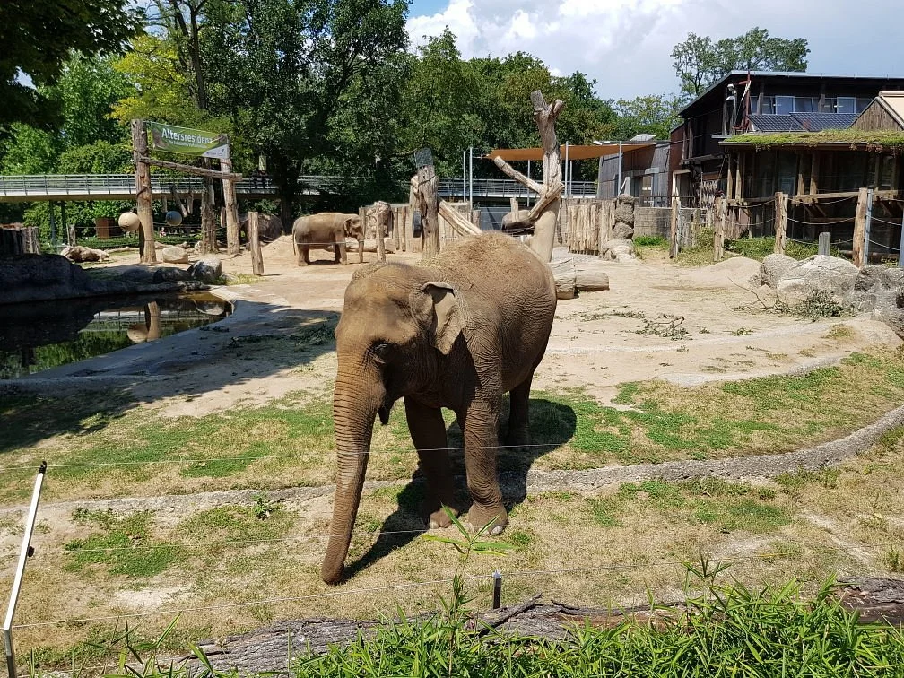 Zoo Karlsruhe
