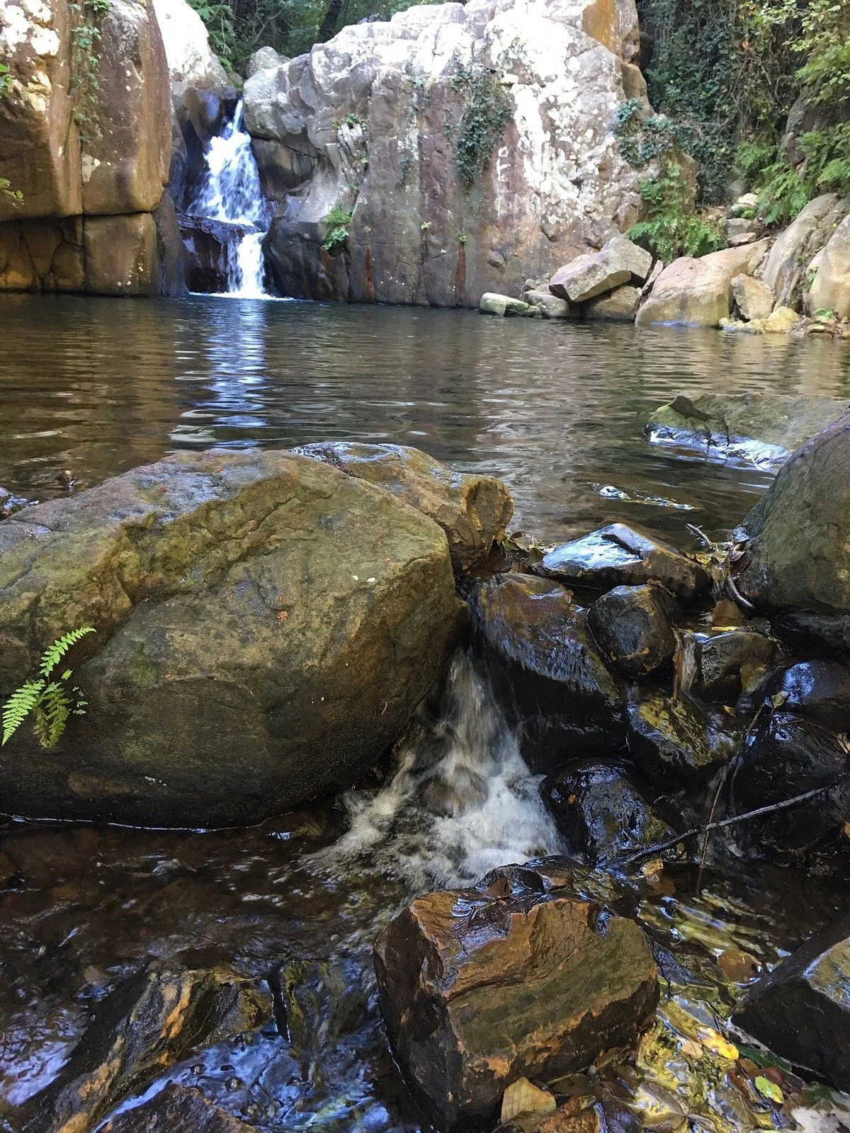 Sendero Rio de la Miel