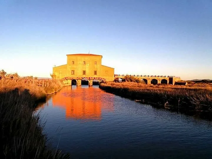 Riserva Naturale Diaccia Botrona