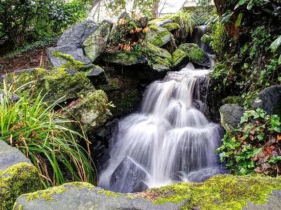 Endcliffe Park