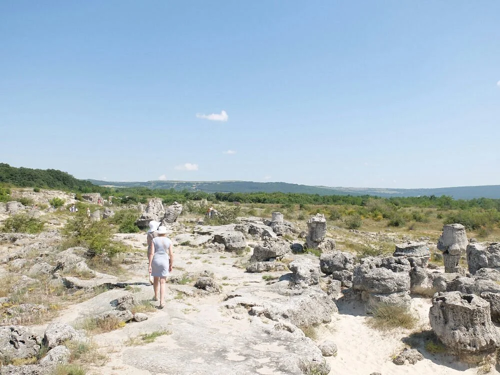 Stone Forest