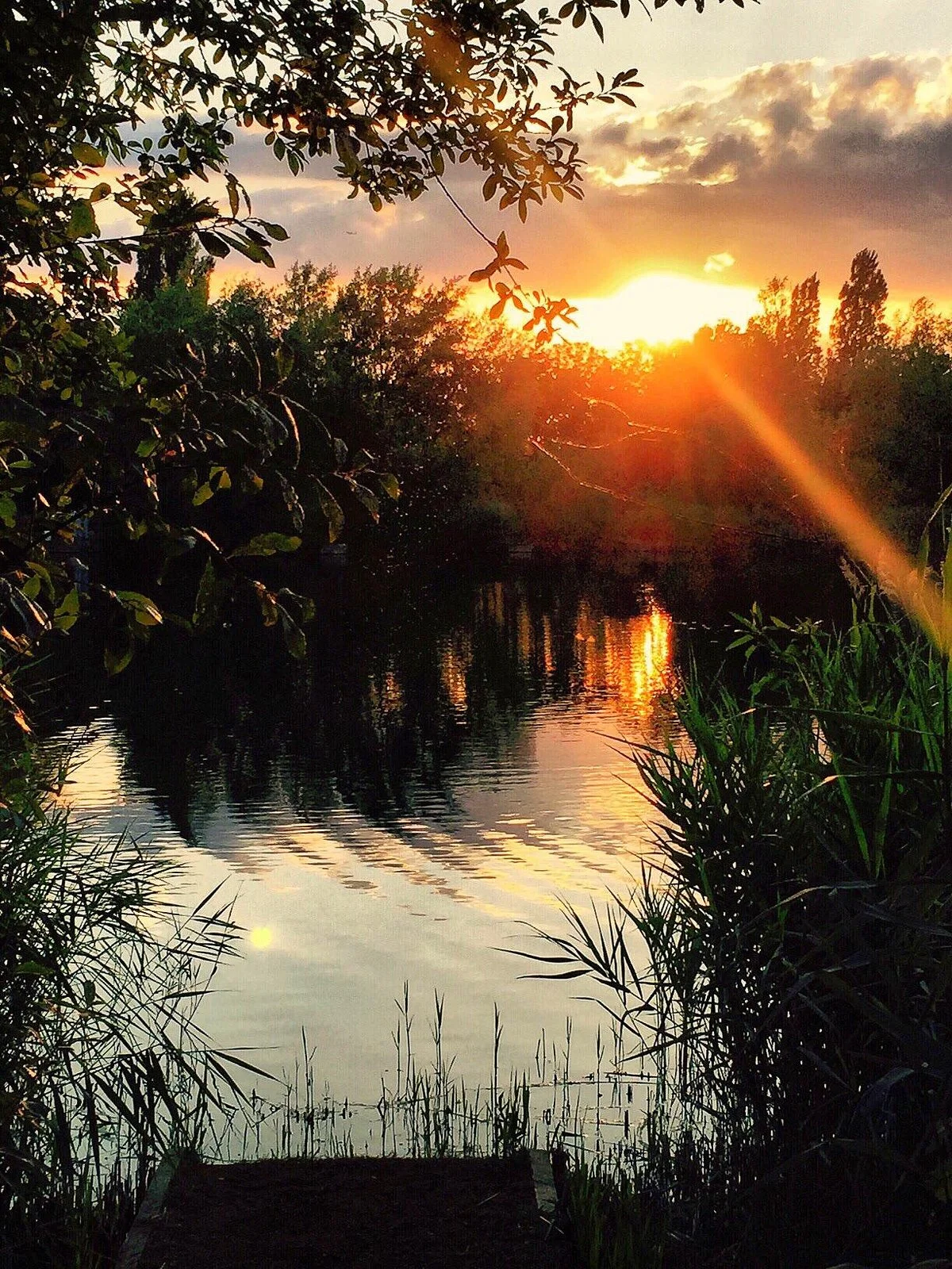 Bedfont Lakes Country Park