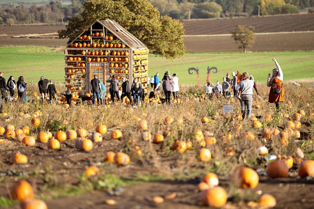 Farmer Copleys