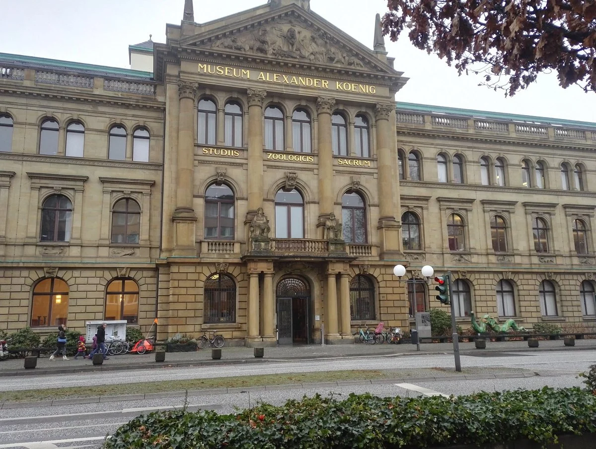 Zoologisches Museum Konig