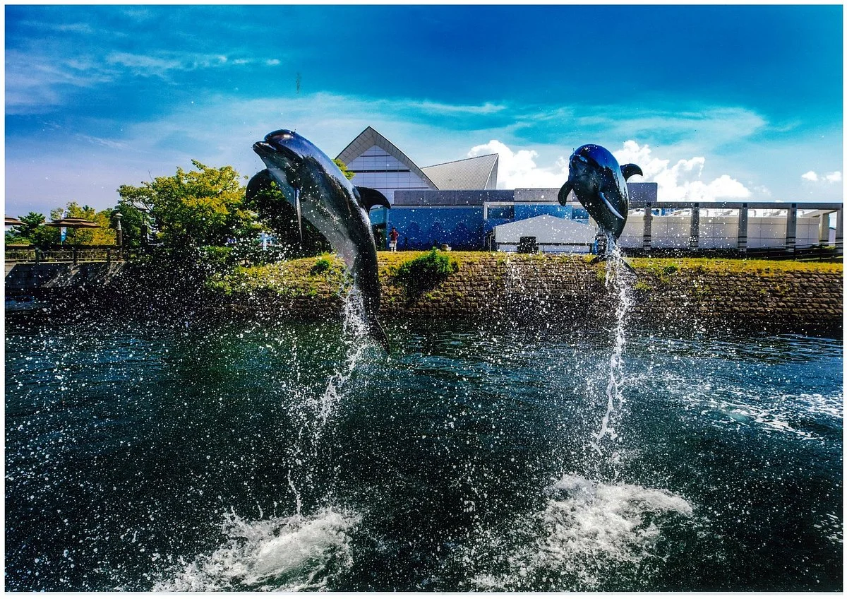 Kagoshima City Aquarium