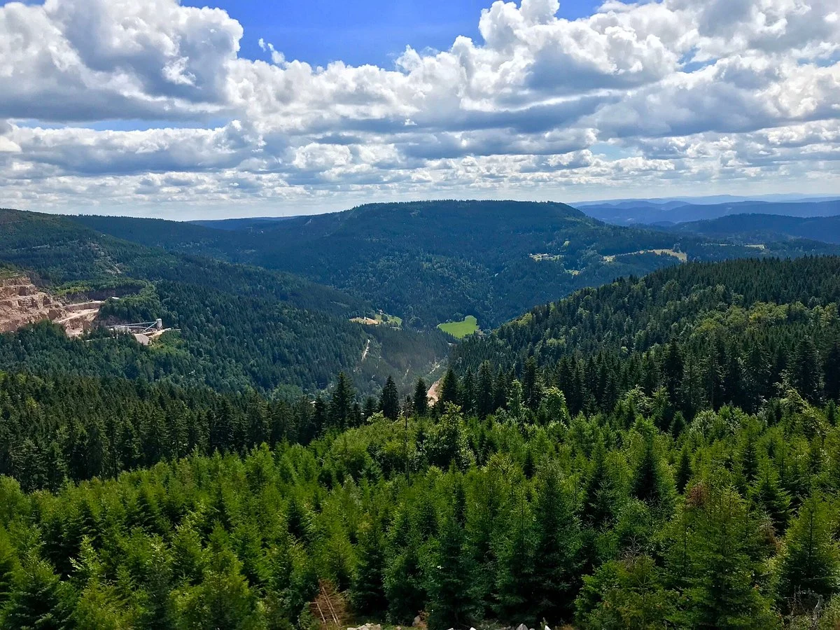 Black Forest High Road