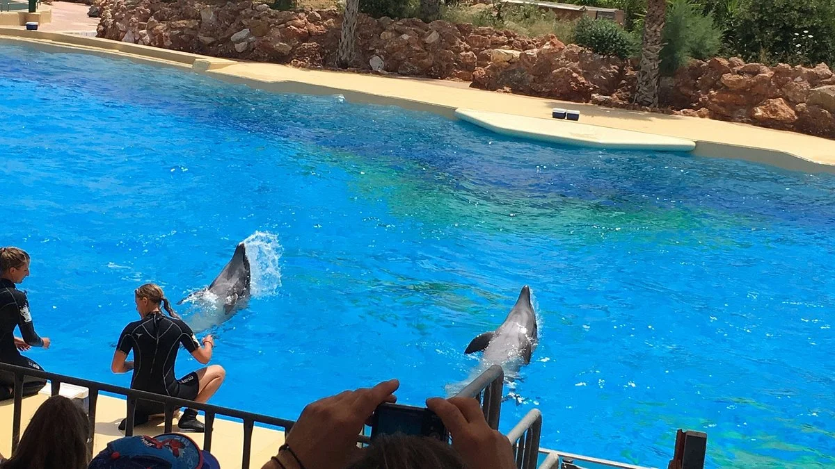 Attica Zoological Park