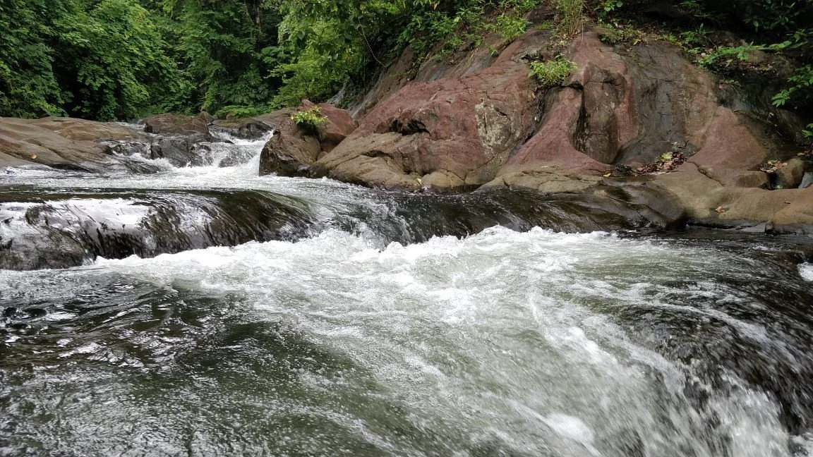 Chenduruny Wildlife Sanctuary