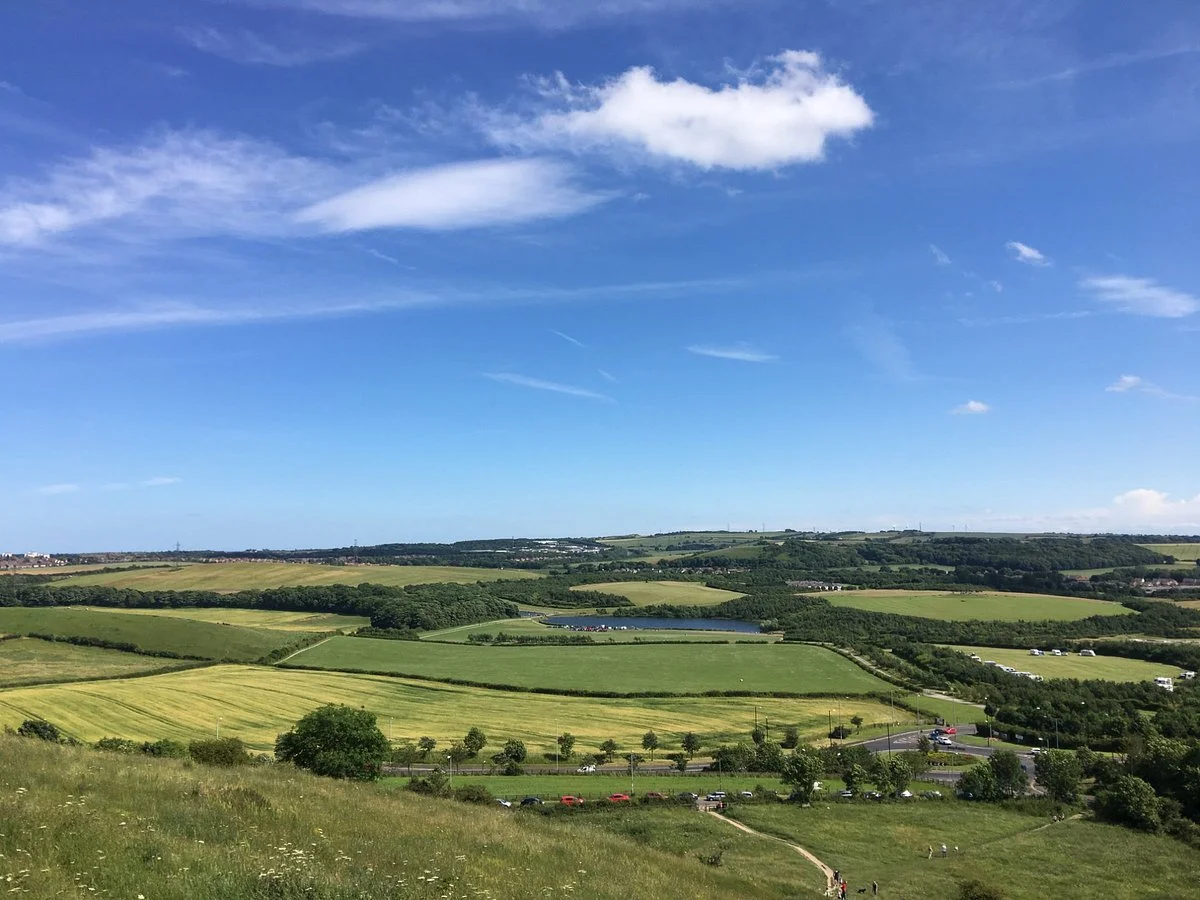 Herrington Country Park