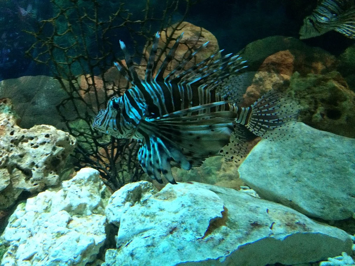 Tropicarium Park