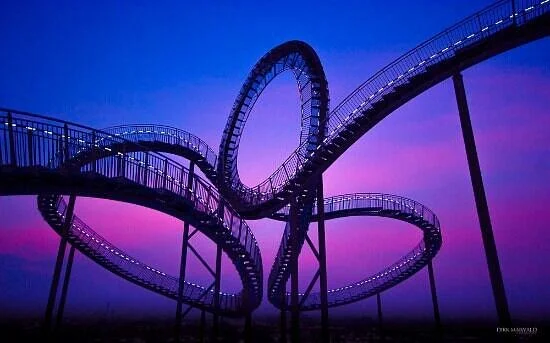 Tiger & Turtle