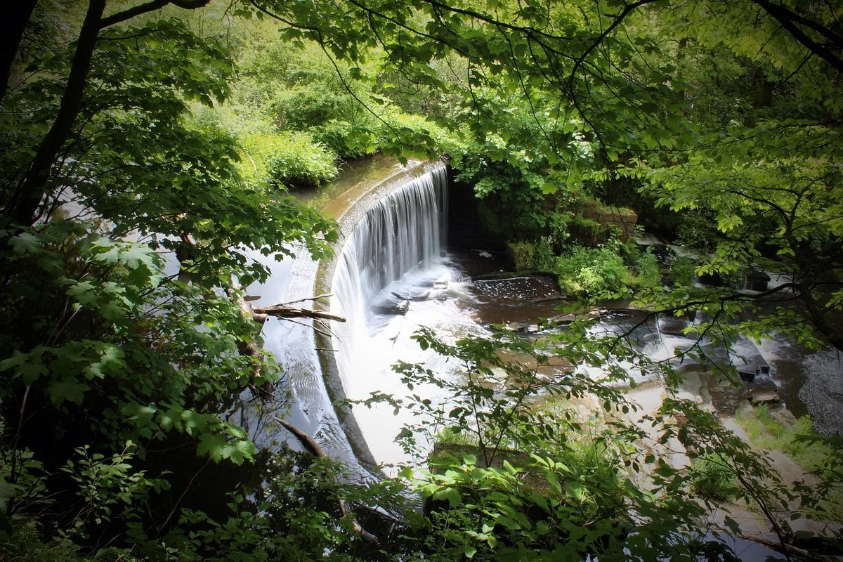 Yarrow Valley Country Park