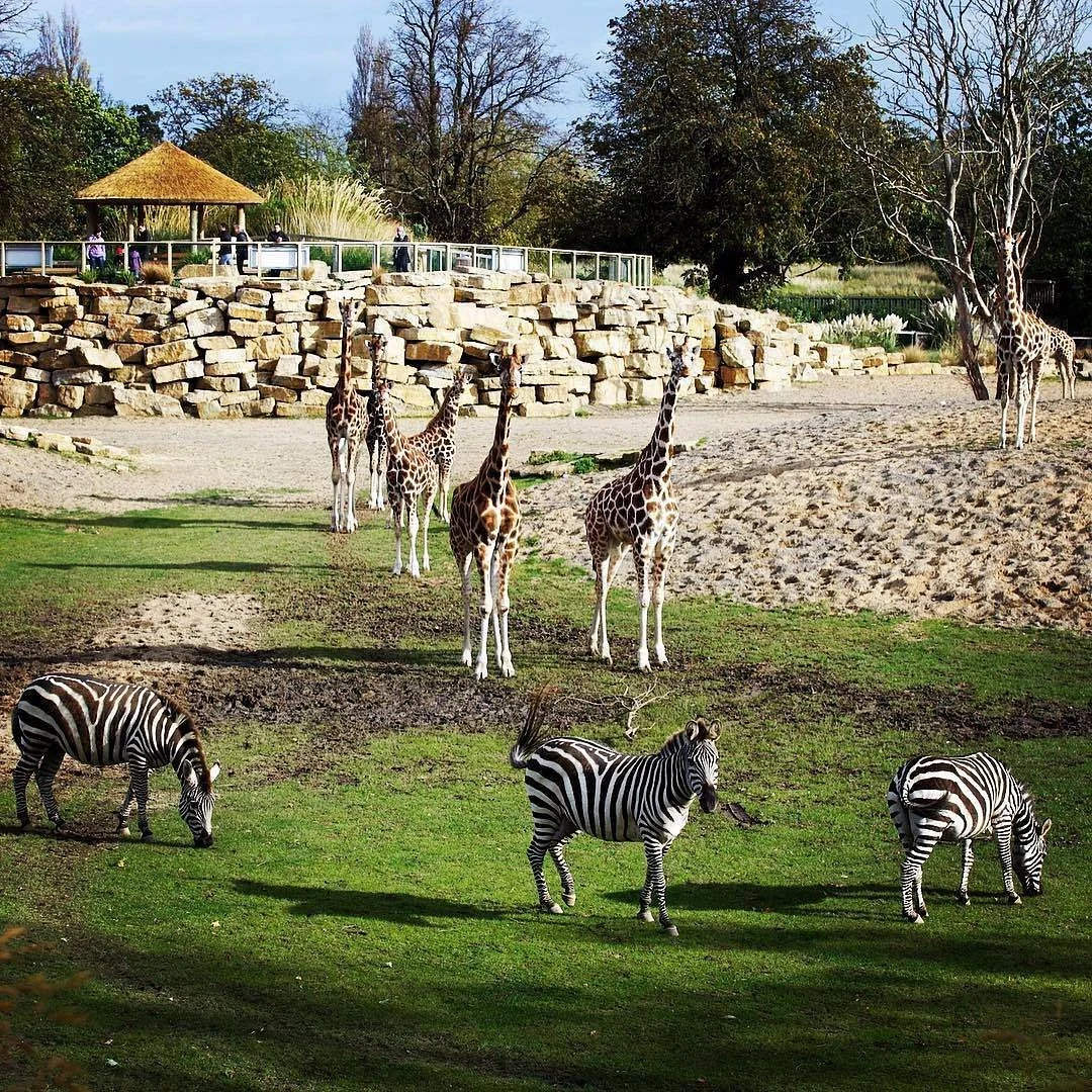 Dublin Zoo
