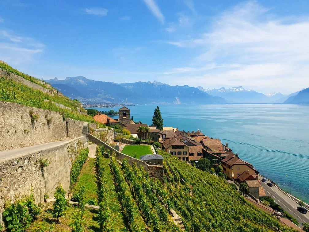 Corniche Lavaux Vineyards