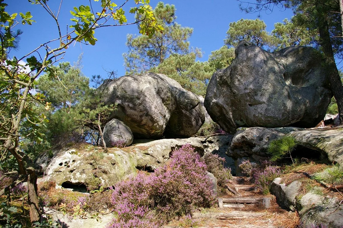 Fontainebleau Forest (Foret de Fontainebleau)
