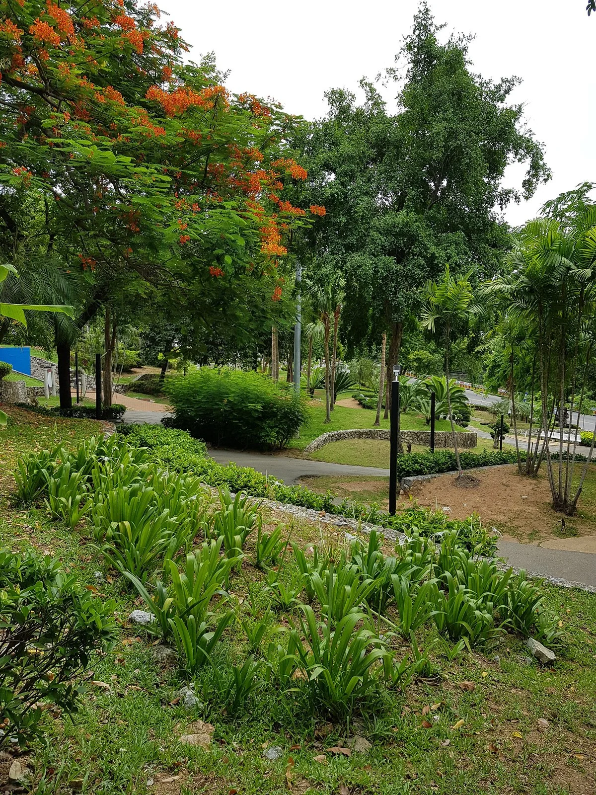 Queen Sirikit Park