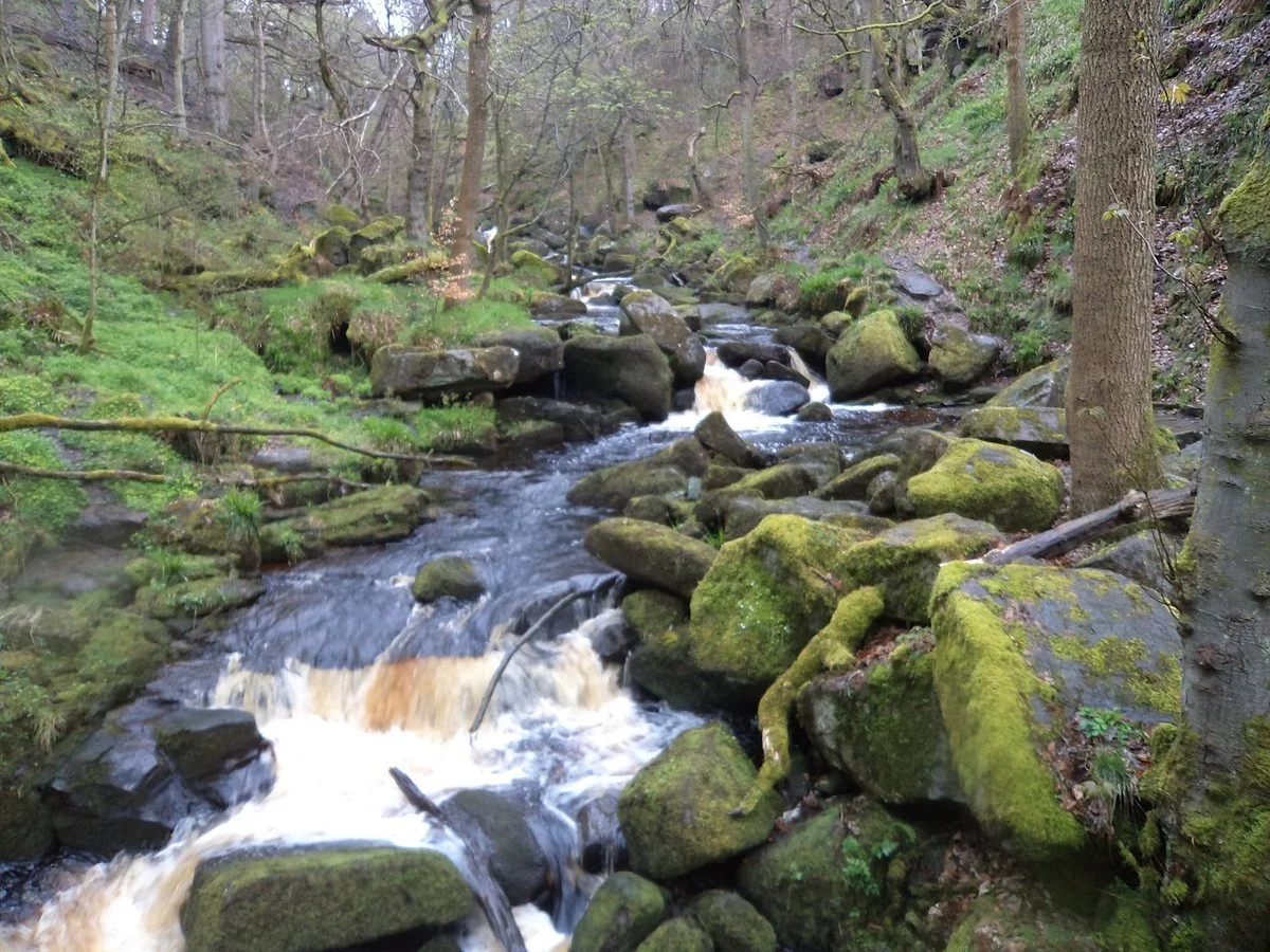Longshaw Estate