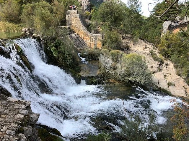 Parque Natural del Alto Tajo