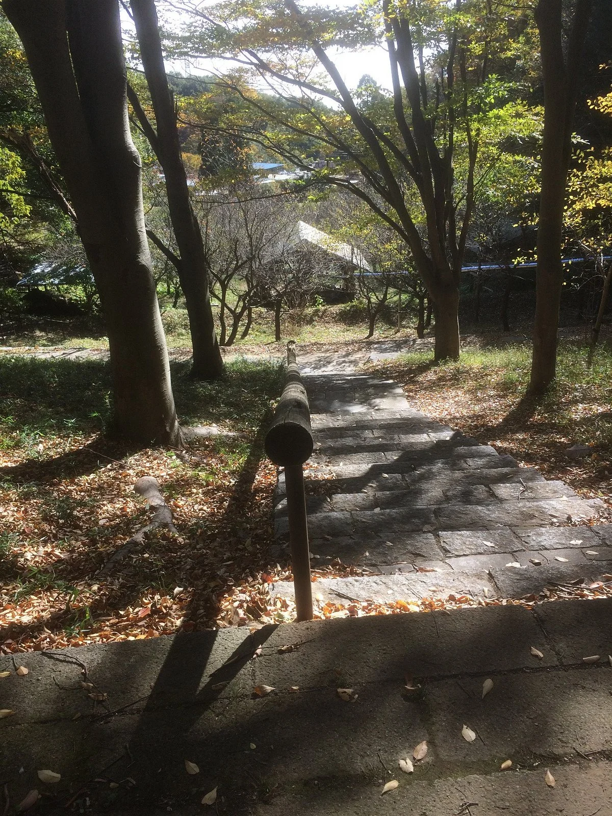 Ipponsugi Park