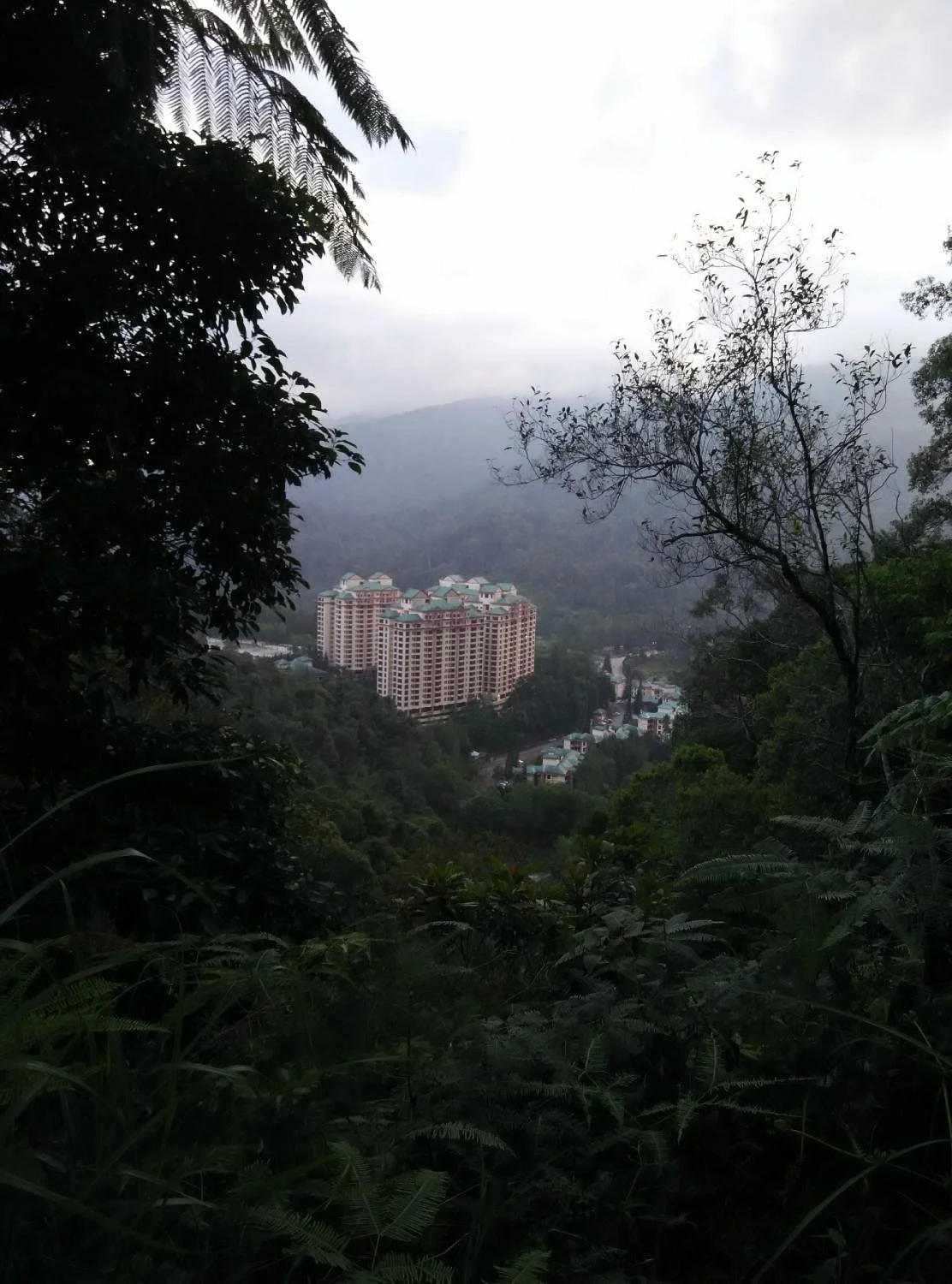 Gunung Bunga Buah